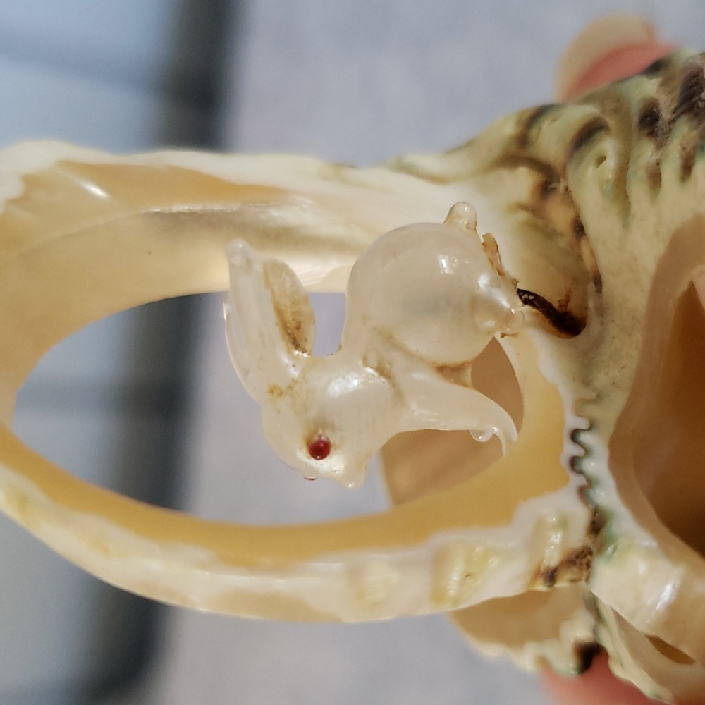 Carved Seashell with Rabbit - Picture 3 of 15